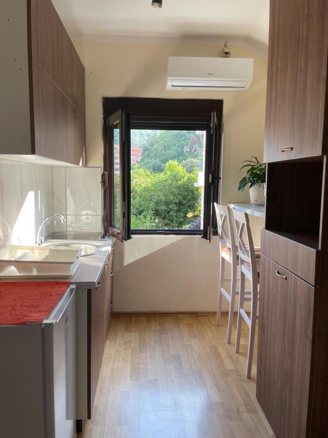 Apartman Grujicic 1 ブドヴァ エクステリア 写真